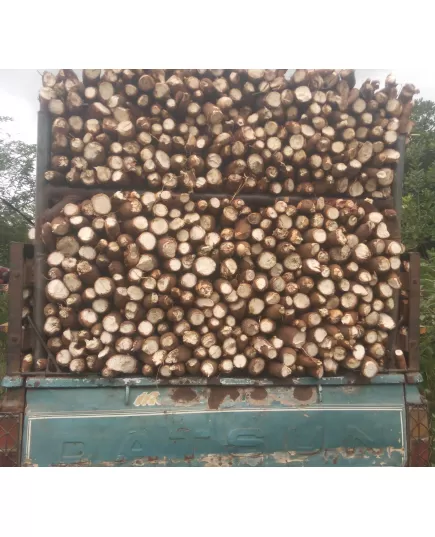 cassava tonnage